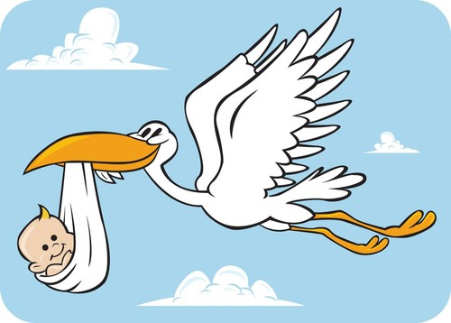 do-storks-deliver-babies-rwuYz5-clipart.jpg do-storks-deliver-babies-rwuYz5-clipart.jpg