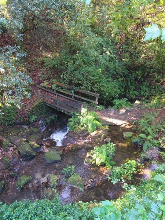 Não me canso disto_caminhada9a.jpg