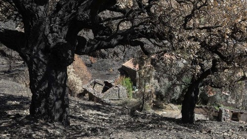 incêndio.jpg