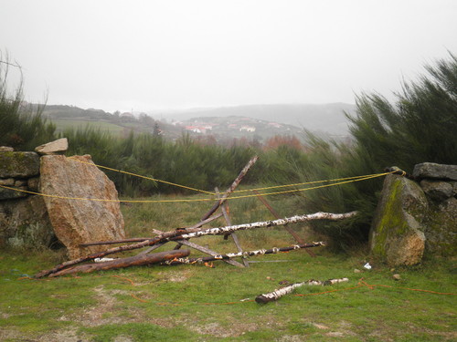 Lama da Missa