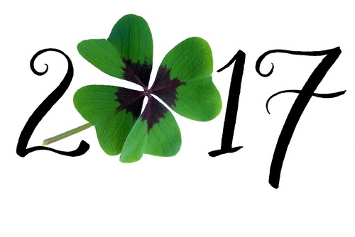 new-years-day-StefanSchweihofer.jpg