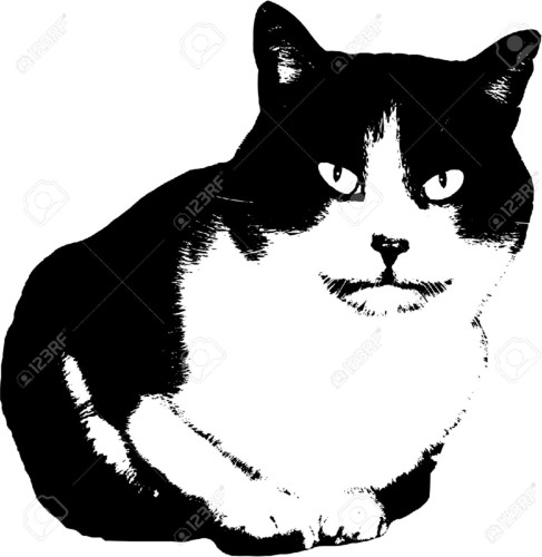 28068067-illustration-of-a-black-and-white-cat-Sto