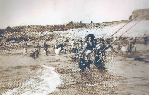 1950.jpg 1950.jpg