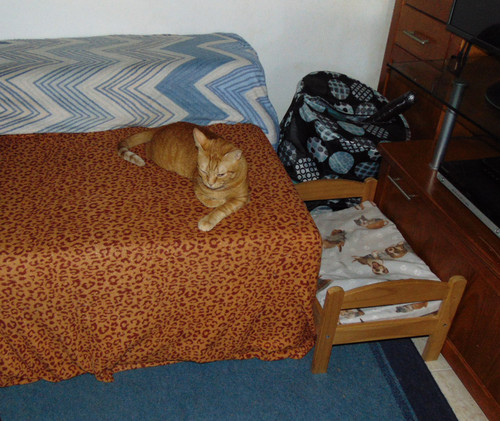 relax7865.JPG