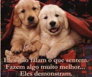 Eles