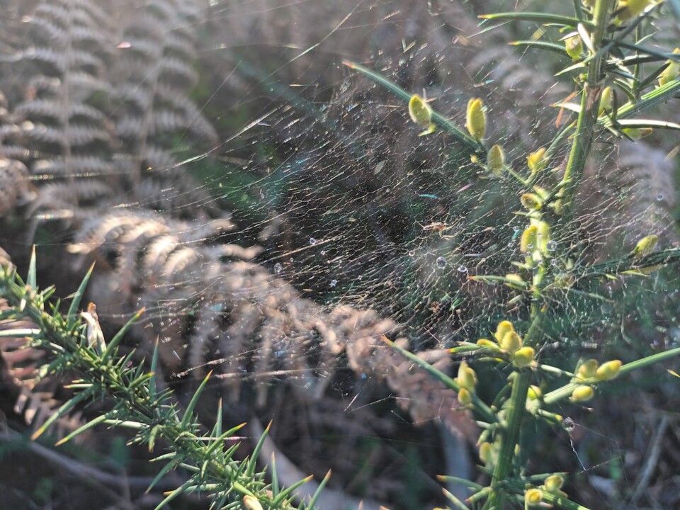 Não me canso disto Inverno 8.jpg