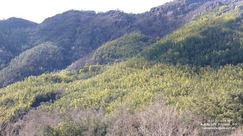 P1080441