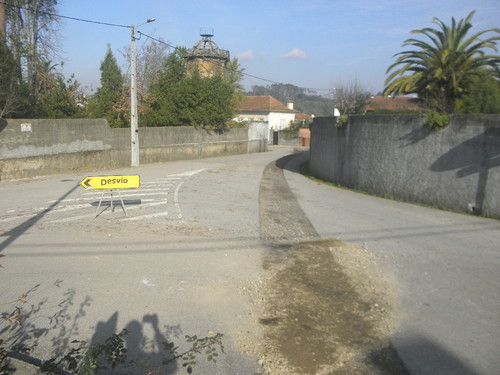 P1113145.JPG