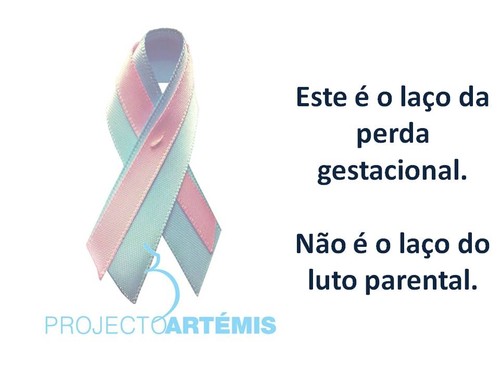 Diapositivo1.JPG