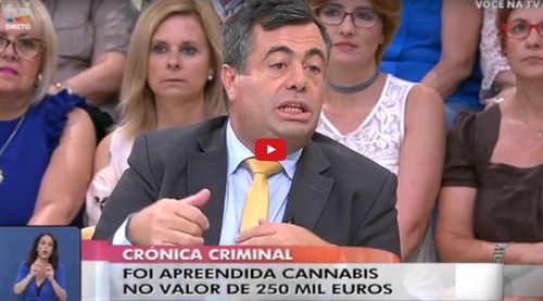 Quintino Aires gays cannabis.JPG