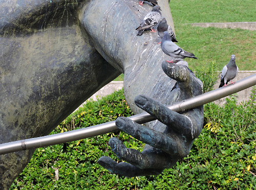 DSCN4670.jpg