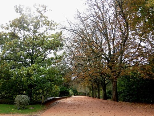 jardim 3.JPG