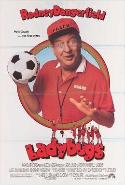 Ladybugs_poster.jpg