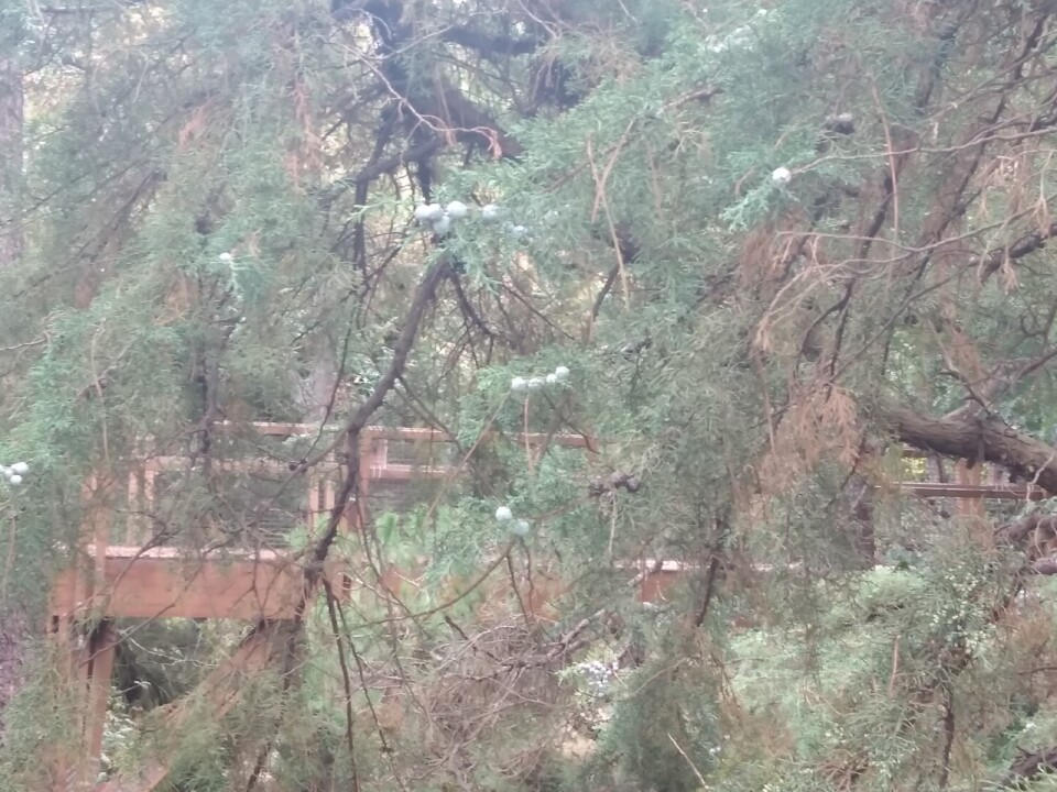 Serralves7.jpg