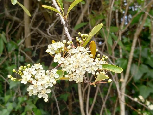 20220319_154745 - Cópia.jpg