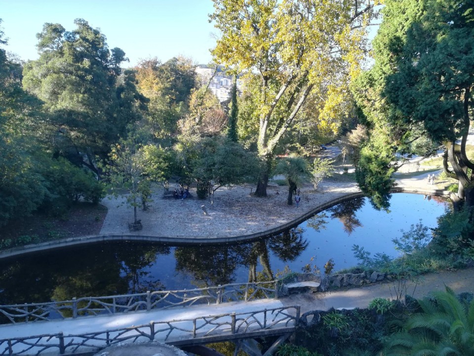 251071286_267001495440460_4000743648951206395_n.jp