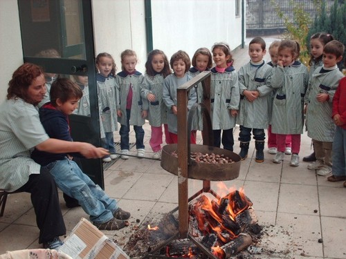 magusto1.jpg