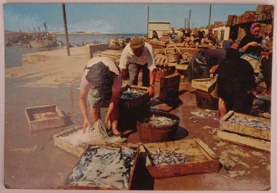 postal_fig_foz_vida_mar_pesca_flam_stop_19730831 ( postal_fig_foz_vida_mar_pesca_flam_stop_19730831 (