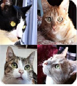 jakiecompany.jpg jakiecompany.jpg