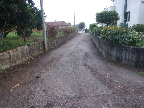 Valongo Estrada Brunhido (1).jpg
