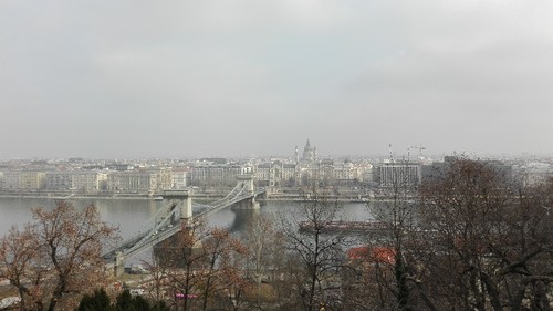 IMG_20170220_115247.jpg