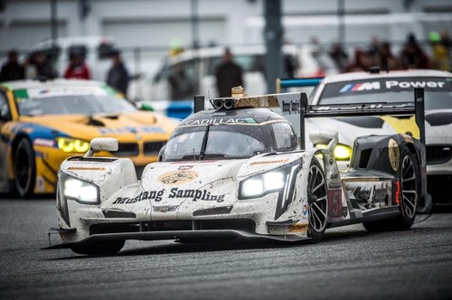 16298841_673292552850009_907631698076675357_n.jpg 16298841_673292552850009_907631698076675357_n.jpg