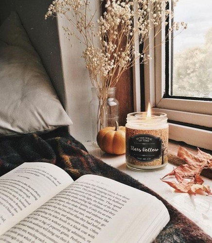 instagram Polly and books.jpg