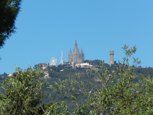 DSCN2994.JPG DSCN2994.JPG