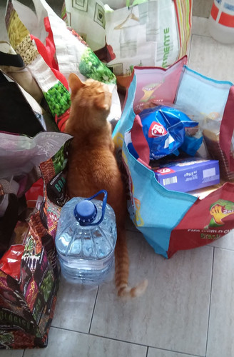 supermercado2.jpg supermercado2.jpg