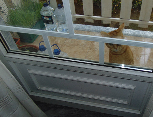 hello.JPG