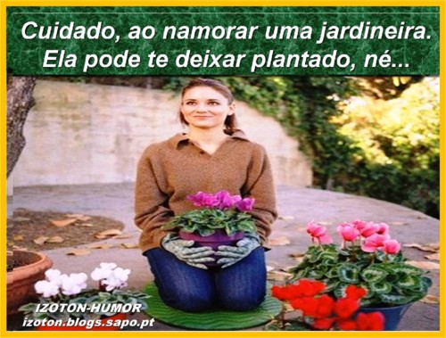 JARDINEIRA.jpg JARDINEIRA.jpg