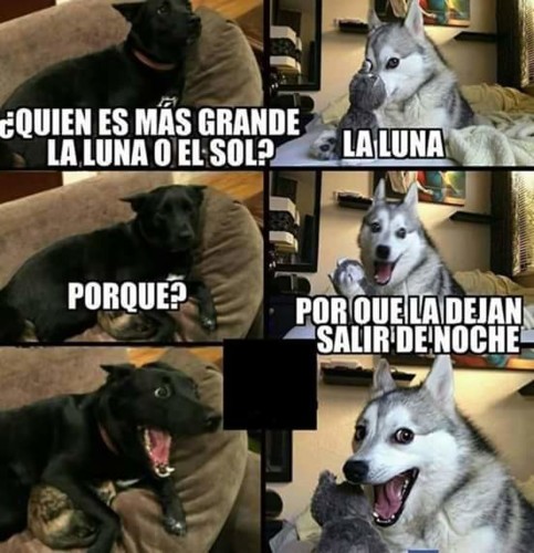 41.jpg 41.jpg