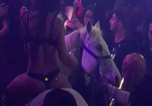 HD Mulher entra em discoteca montada num cavalo...