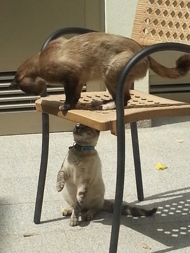 20140819_142619.jpg