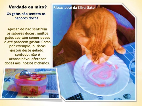 docegato.jpg docegato.jpg