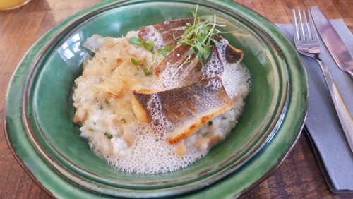 20190125_135348.jpg