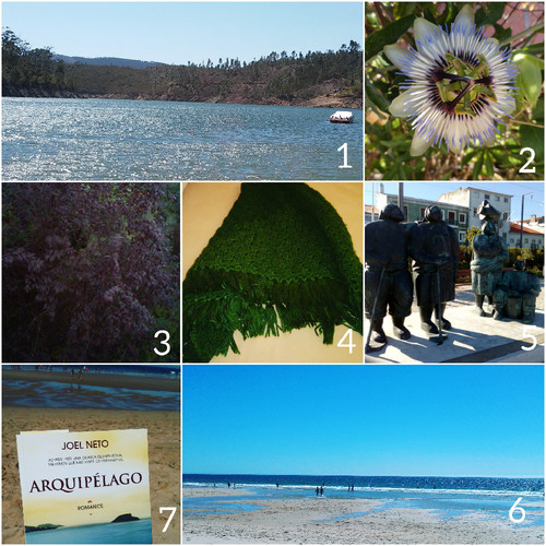 CollageMaker_20170729_132813254.jpg