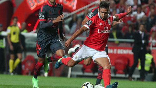 salvio.jpg salvio.jpg