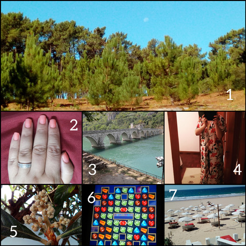 CollageMaker_20170916_222923925.jpg