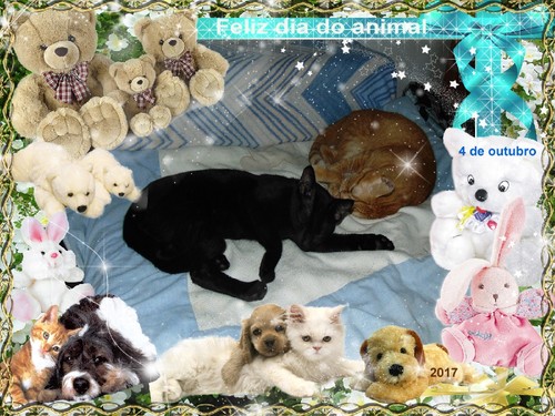 ainalday1.jpg