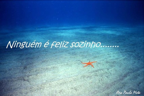 Ninguém é feliz sozinho