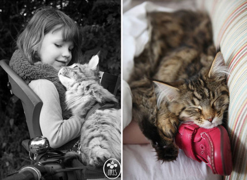 thula-therapy-cat-autistic-artist-iris-grace-23.jp thula-therapy-cat-autistic-artist-iris-grace-23.jp
