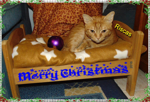 feliznatal.jpg