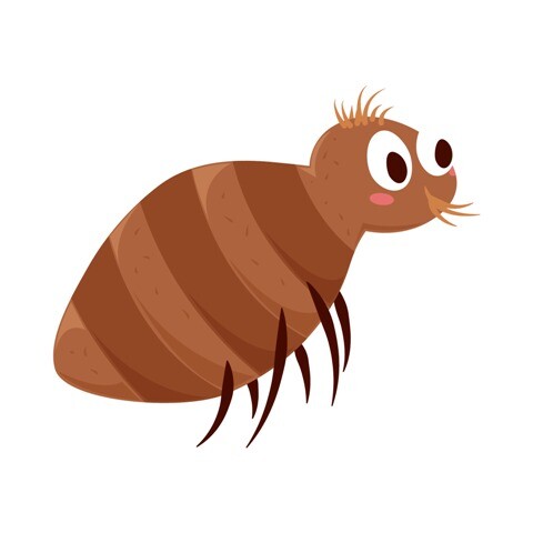 14217232-desenho-animado-de-inseto-pulga-gratis-ve