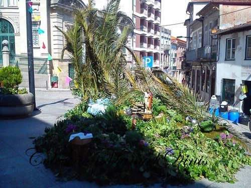 DSC_4514 - Cópia.jpg