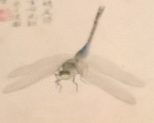 WP_20170602_15_51_05_Pro.jpg WP_20170602_15_51_05_Pro.jpg