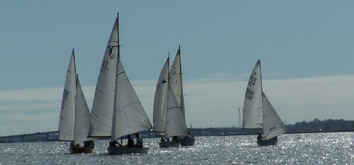 cenario regata1.jpg