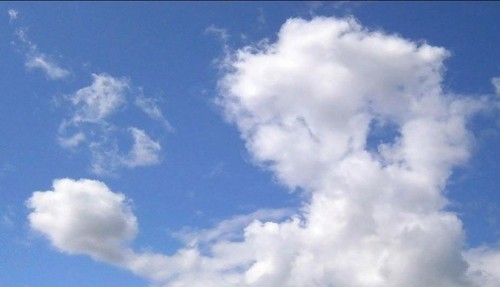 924x530.jpg