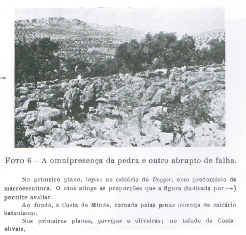 Costa de Minde.JPG