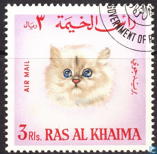 2a28f8c43cd60a767a11bc3eca0e1ba3.jpg 2a28f8c43cd60a767a11bc3eca0e1ba3.jpg